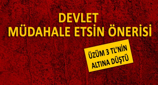 Türker'den Üzüme Devlet Müdahalesi Önerisi