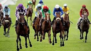 BAKANLIKTAN AT YARIŞLARINA İLİŞKİN AÇIKLAMA