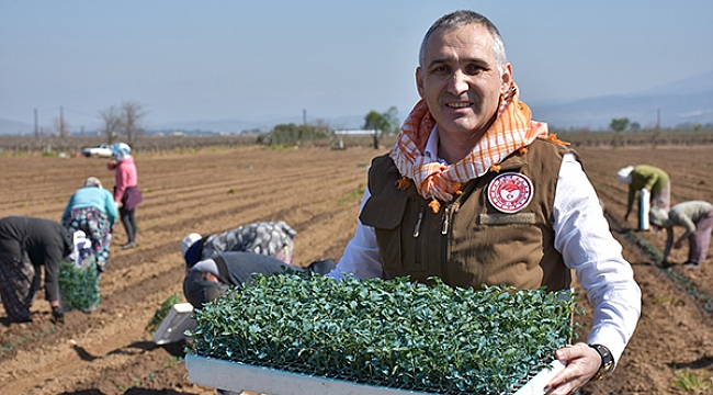 TARIM İL MÜDÜRÜNDEN OVADAKİ MANİSALI ÇİFTÇİLERE DESTEK  