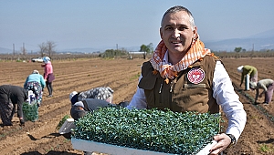 TARIM İL MÜDÜRÜNDEN OVADAKİ MANİSALI ÇİFTÇİLERE DESTEK  