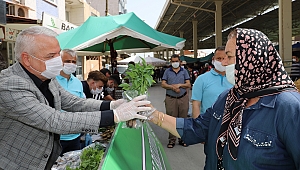 SARUHANLI'DA 60 BİN FİDE DAĞITILDI
