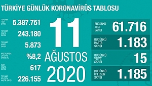 EN ÇOK VAKA GÖRÜLEN İLK 5 İL AÇIKLANDI 