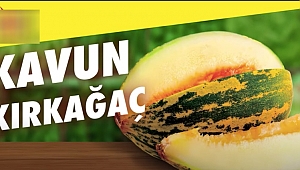 Kırkağaç kavunu zincir marketlerin reklamlarında 