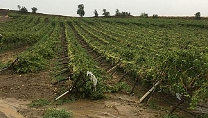 MANİSA MİLLETVEKİLİNDEN ÇİFTÇİYE GÜZEL HABER