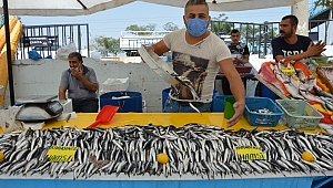 EGE BALIKLARI MANİSA'DA TEZGAHLARDA
