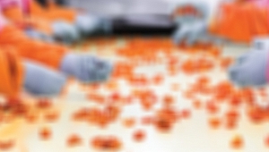 FABRİKADA VAKALAR ARTINCA TÜM ÇALIŞANLARA 14 GÜN KARANTİNA