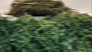 MANİSA'DA ŞOK OPERASYON! 6 KİLO 233 GRAM...