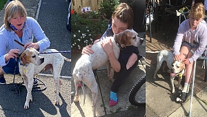 MANİSA'DAN İNGİLTERE'YE