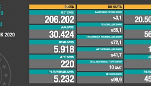 30 BİNİ AŞKIN VAKA, 220 CAN KAYBI 