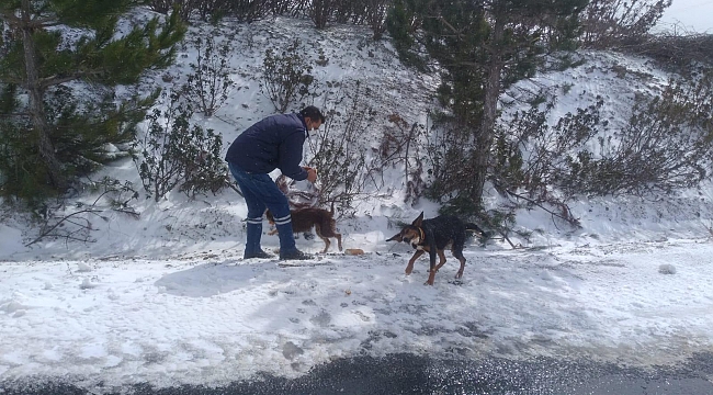 Can dostlarına karda kışta yem