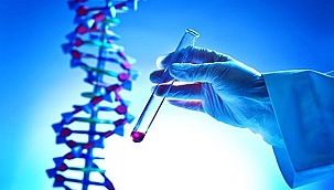 Manisa'daki DNA sonucu konuşuluyor