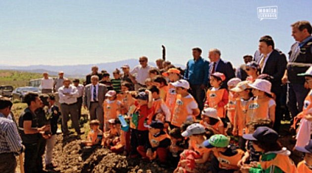 3 Bin 500 Fidan dikildi