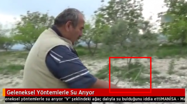 Ağaç dalı ile su buluyor
