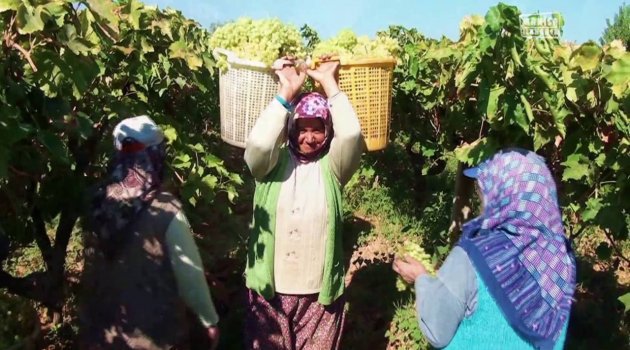 ALAŞEHİR'DEKİ JES PROJESİ İÇİN MAHKEME YÜRÜTMEYİ DURDURDU