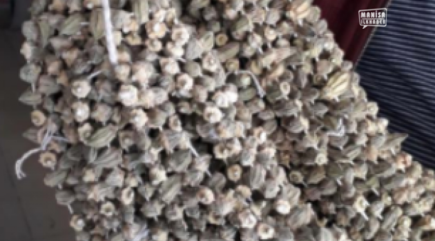 Kuru bamyanın kilosu 120 TL oldu