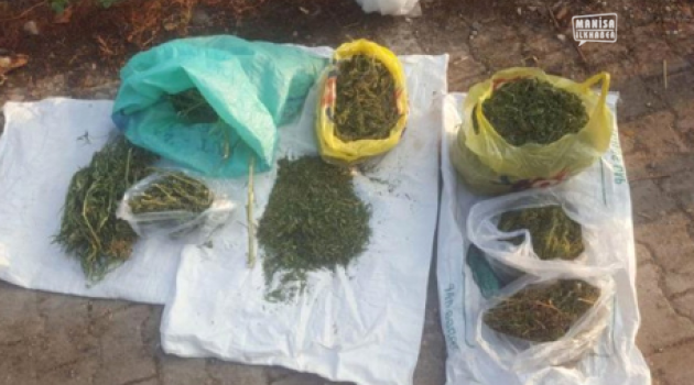 Manisa'da yine uyuşturucu operasyonu