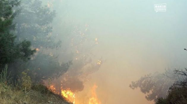 Manisa ve İzmir'de yangın