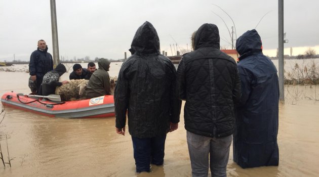 SELİN VURDUĞU MAHALLEDE CAN PAZARI