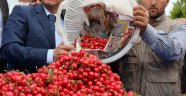 170 TL'ye İlk Kiraz Satıldı