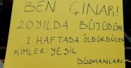 Bu Çınar İlçede Günün Konusu Oldu