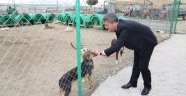 Başkan Şirin Hayvan Barınağı Eleştirilerine Cevap Verdi