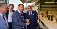Zeytin Üreticisine Destek İstediler