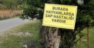 Turgutlu'da 'Şap' Karantinası