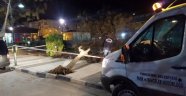 Lodosun Devirdiği Ağaçlar Ekiplerce Kaldırıldı