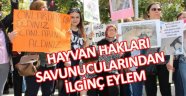 Hayvan Hakları Savunucusundan İlginç Tepki