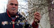 Sarıgöl'de Şubat Baharı Tedirgin Etti