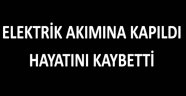 Elektrik Akımına Kapıldı, Hayatını Kaybetti