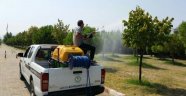 Turgutlu'da İlaçlama Çalışmaları Devam Ediyor
