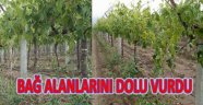 Sarıgöl'de 5 Bin Dekar Alan Doludan Zarar Gördü