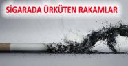 Sigarada Ürküten Rakam; Zararları Saymakla Bitmiyor