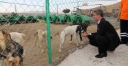 Başkan Şirin: "Yargısız İnfazla Karşı Karşıyayız"