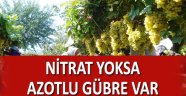 Nitratlı Gübreye Alternatif Azotlu Gübre