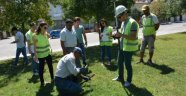 Kentsel Dönüşümde Çalışmalar Hızlandı