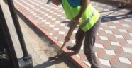 Çalışmalar Daha Temiz Bir Kırkağaç İçin