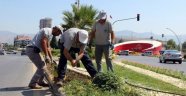 Alaşehir'de parklar ve kavşaklar çiçek açtı