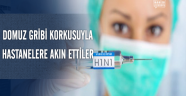 Domuz Gribi Korkusuyla Hastanelere Akın Ettiler