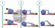 Pilates Hareketleri