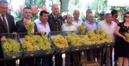 En Güzel Üzüm'e Altın Verildi