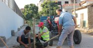Binlerce Fidan Toprakla Buluşuyor