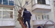 Budanan Ağaç Dalları İhtiyaç Sahiplerine Veriliyor