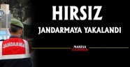 Hırsız, Jandarmaya Yakalandı