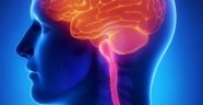 Beyninizi Güçlendirmek İçin Bugün Yapmanız Gereken 4 Şey