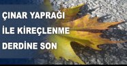 Çınar Yaprağı İle Kireçlenmeye Son