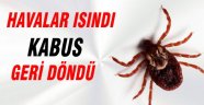 Dikkat! Kene Sezonu Açıldı