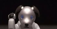 Japonya'nın Sony Robotik Köpek Tanıtımı