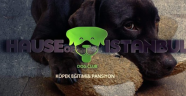 Köpek Eğitimi Çekmeköy